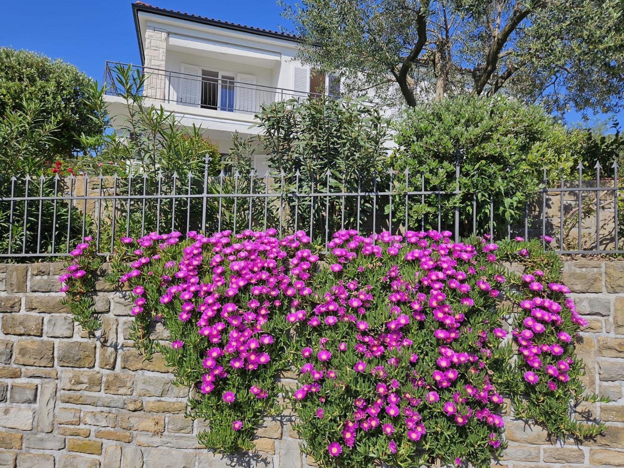 Apartment Solare Portoroz Luaran gambar